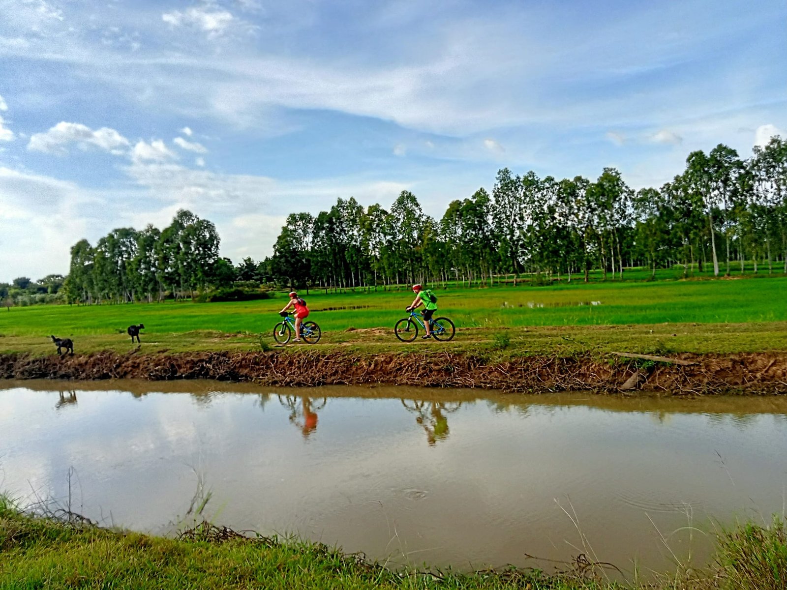 Siem Reap Cycling To Preah Vihea 7 Days